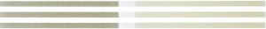 SeptoFipo Strip 4 mm 100 pcs. - Polyester abrasive strips with aluminum oxide coating