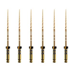 Maillefer ProTaper GOLD 6 pcs. F4 Black 25 mm - Sterile nickel titanium machine files