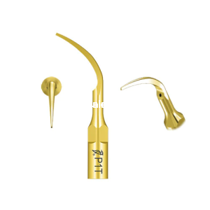 Ďateľ P1T EMS zlatý scaler tip